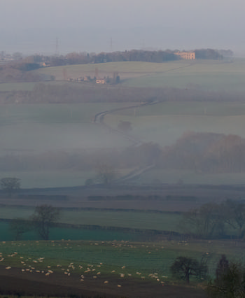 Sutton Scarsdale Hall Mist This landscape photograph captures Sutton Scarsdale Hall shrouded in mist during a spring dawn. The rural scene features green fields dotted with sheep, interspersed with trees and hedgerows, creating a tranquil countryside atmosphere. Sutton Scarsdale Hall, a notable landmark, is visible in the distance, positioned on higher ground above the fields. The early morning light enhances the presence of the mist and softens the details, while the trees and gently sloping hills contribute to the peacefulness of the spring landscape.